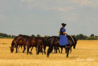 /album/fotogaleria/img-0761-masolata-jpg/